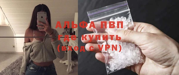 сатива Михайловка