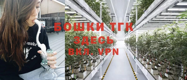ПСИЛОЦИБИНОВЫЕ ГРИБЫ Абаза